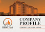 design modern and professional company profiles